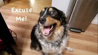 Excuse Me!