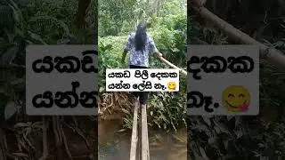 යකඩ පීලි දෙකේ ගමන් කිරීම#trendingshorts #travel #trending#youtubeshorts #food