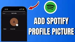 How To Add Profile Picture On Spotify (2025)