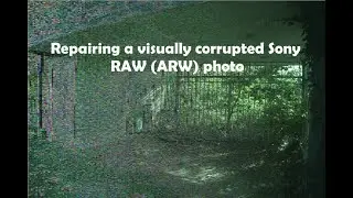 Repairing a visually distorted, damaged image in a Sony RAW (ARW) photo.