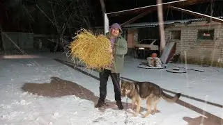 Первый снег. Утеплил их.