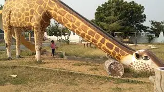 sliding down from giraffe slider|satisfying video|sliding down a slide sound effect