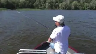 Еще один заплыв за трофеем