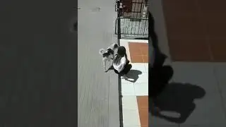 dog peeing on a girl 