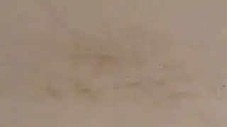 СОСЕДИ СВЕРХУ У НАС ТЕРАНЫ