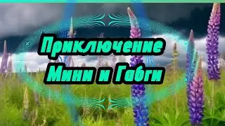 Приключения Мини и Габги. Первая сора😭