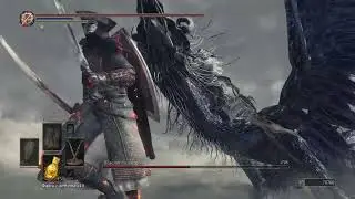 ИЗИ Безымянный Король БЕЗ УРОНА!!1! (Nameless King, No Hit, NG+)