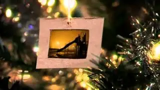 Picture Tree Videohive After Effects Template