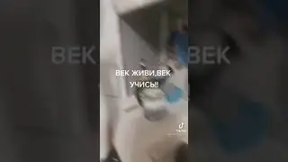 Как чистить рыбу