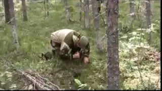 Перлик Иосиф Фёдорович. Дорога домой.