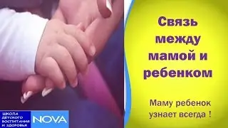 Милая мама. Связь между матерью и ребенком - наверное, самая крепкая и надежная в мире.