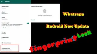 WhatsApp for Android Beta receives Fingerprint Unlock feature