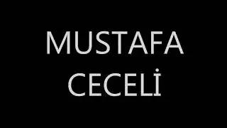 17 июля 2017 г.(5)