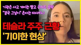 테슬라에 생긴 '기이한 현상' 기관은 사고 개미는 팔고 공매도는 급락, "결국 그날이" 온다는 타샤키니