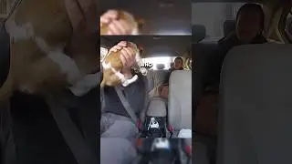 Uber driver surprises riders with a puppy 🤣❤️ @Driver_Eddie  #shorts