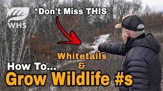 How To Create Critical Deer and Wildlife Edge