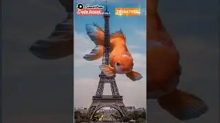 CARA MEMASUKAN KODE BOOST SNACK VIDEO TERBARU DI EVENT SNACK VIDEO 