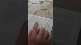 Заблуждение таблиг жамаата