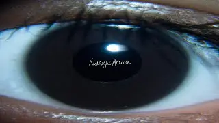 Midnight Matinee - The Light In Your Eyes