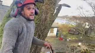 350 year old oak tree removal on Isle of Mull. Time lapse.