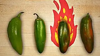Why some jalapeños are SO much spicier than others