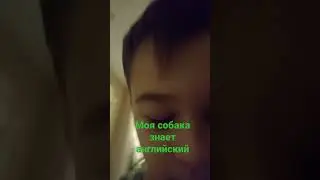 какая у меня умная собака 🐶🐕