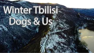 🇬🇪 Winter Tbilisi. Just walk. Dogs & Us