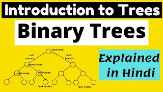 Trees in Python | Binary Trees in Python | Trees Introduction in Python | DSA in Python in Hindi