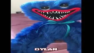 HELLO HUGGY WUGGY (plush/toy)