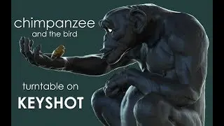 Chimpanzee - Render to Keyshot