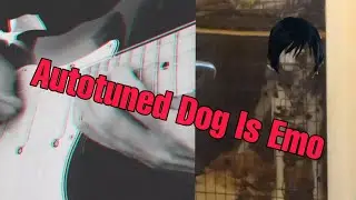 I Autotuned My Dog & Made it Emo