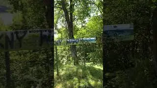 Обзорная площадка «гора ястреба»