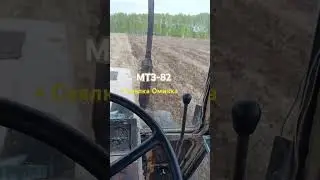 МТЗ-82 с сеялкой Омичка посев гороха 2024