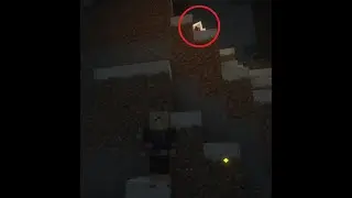 Gasesc Entitatea 404 pe Minecraft!!!