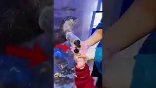 Эта выдра дарит тебе подарки… но только если ты поставишь лайк 😳🦦