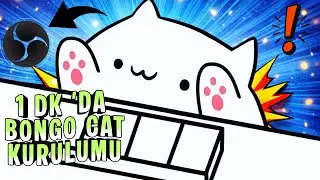 OBS Bongo Cat Plugin Installation (Turkish)