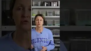 НА БАЗОВЫЙ ИЛИ ДЛЯ МАСТЕРОВ? | ШКОЛА ФЬЮЗИНГА  