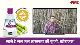 Coragen® Insecticide for Sugarcane | UP Farmers | 