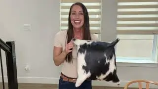 Cowhide Pillow testimonial