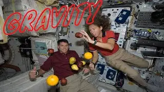 Gravity - What is it?