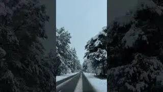 Красивая зима