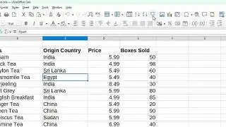 Fastest way to Sort and Filter Columns | AutoFilter in LibreOffice Calc
