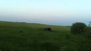 Газик валит