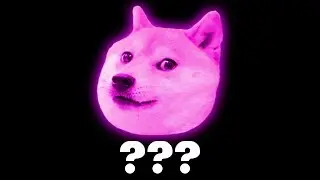 14 Doge 