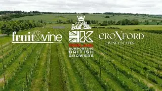 First grape harvest preparation on Croxford Wine Estates