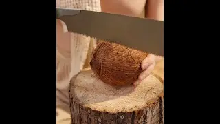 Girl teaches island survival! 💦 