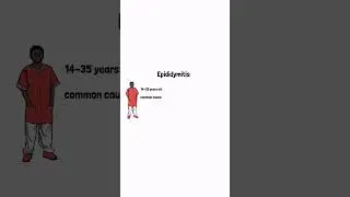 Epididymitis : Common Causes 