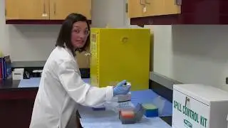 Intro to Multi-channel Pipetting