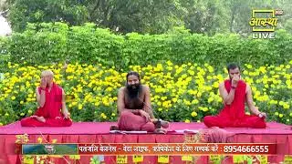 पेट दर्द (Stomach Pain) और एसिडिटी (Acidity) की समस्या से कैसे मिला आराम || Swami Ramdev