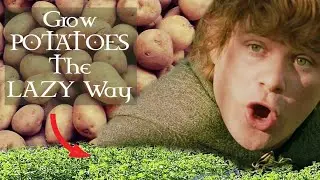 Grow 100kg of Potatoes The Lazy Way - Emergency Gardening